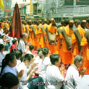 37 Yoga & Tai Chi - Meditation Focus