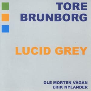 Lucid Grey - Tore Brunborg