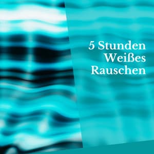 5 Stunden Weißes Rauschen - Weißes Rauschen HD