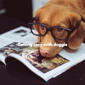 Getting cozy with doggie - Sushi Bar Soundtracks