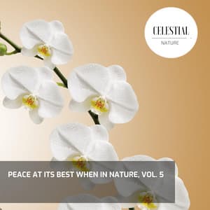 Peace at its Best When in Nature, Vol. 5 - Nature Radiance