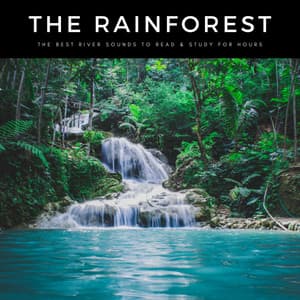 The Rainforest: The Best River Sounds To Read & Study For Hours - Nature & Rainforest Sounds Collective
