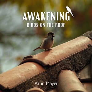 Birds on the Roof - Arun Mayer