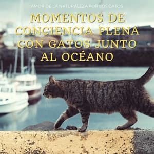 Momentos De Conciencia Plena Con Gatos Junto Al Océano: Amor De La Naturaleza Por Los Gatos - Sonido Del Bosque y Naturaleza