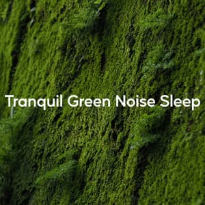 Tranquil Green Noise Sleep - Worldwide Nature Studios