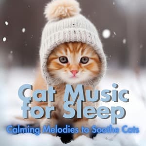 Cat Music for Sleep - Calming Melodies to Soothe Cats - Relax My Cat