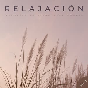 Relajación: Melodías De Piano Para Dormir Vol. 2 - Musica Para Dormir