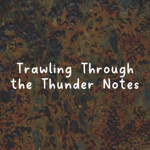 Trawling Through the Thunder Notes - Rainfall Meditations