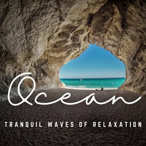 Oceanic Serenity: Relax and Unwind with the Sea - Waves Hard