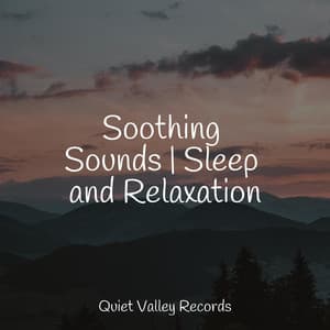 Soothing Sounds | Sleep and Relaxation - Rainy Sounds