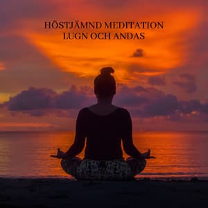 Höstjämnd Meditation: Lugn och Andas djupt under Höstsäsongen - Avslappning ljud klubb