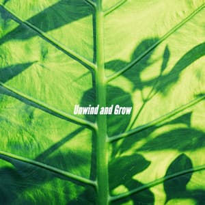 Unwind and Grow - Jazz Ambiental para Hoteles