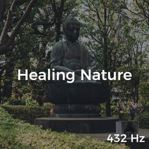 432 Hz Healing Nature - Forest Soundscapes