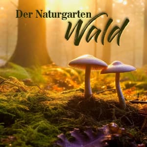 Der Naturgarten Wald - Waldgeräusche