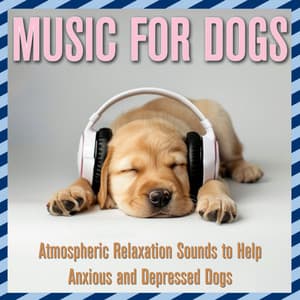 Music for Dogs: Atmospheric Relaxation Sounds to Help Anxious and Depressed Dogs - Relaxmydog
