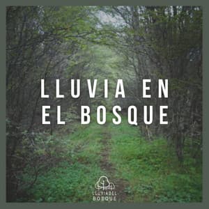 Lluvia en el Bosque - Lluvia Del Bosque