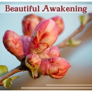 Beautiful Awakening: Relaxing Moments, Healing Meditation & Yoga Time, Stress Relief Music, Deep Massage - Healing Touch Zone