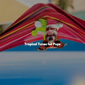 Tropical Tunes for Pups - Relaxing Instrumental Jazz