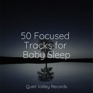 50 Focused Tracks for Baby Sleep - Rainy Sounds