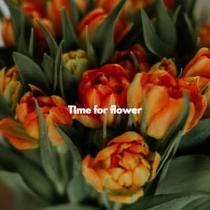 TIme for flower - Morning Jazz