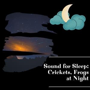 Sound for Sleep: Crickets, Frogs at Night - Night Sounds Channel