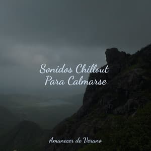 Sonidos Chillout Para Calmarse - Sleep Sound Library