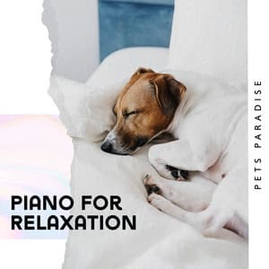 Piano for Relaxation: Pets Paradise - Pet Relax Academy