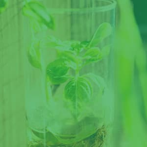 Jazz Guitar Solo - Background Music for Devoted Inspiration - Soft Coffee House Jazz Club