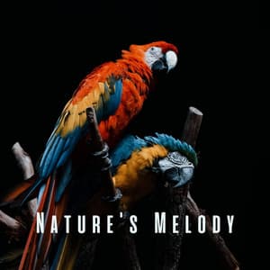 Nature's Melody: Tranquil Bird Sounds for Meditation - Birds & Bees etc.