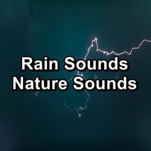 Rain Sounds Nature Sounds - Heavy Rain Sounds