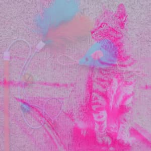 Music for Cats and Dogs Relaxation - Cat Music Therapy