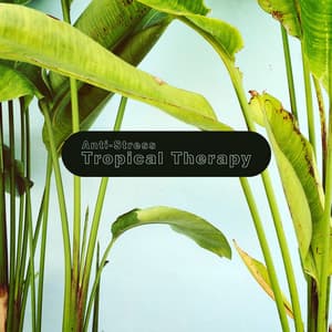 Anti-Stress Tropical Therapy - Restful Music Consort