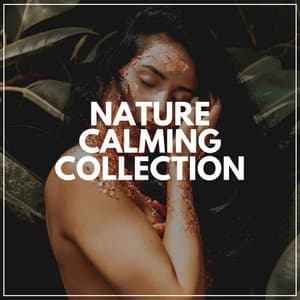 Nature Calming Collection - Nature Ambience