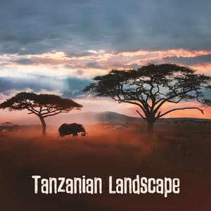 Tanzanian Landscape - African Music Drums Collection