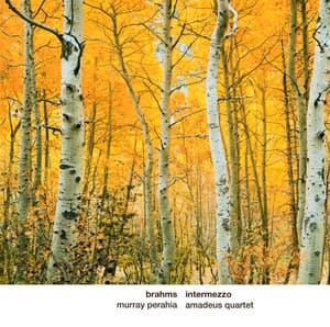 Brahms: Intermezzo - Johannes Brahms