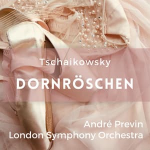 Peter Tschaikowsky: Dornröschen - Pyotr Ilyich Tchaikovsky