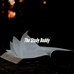 The Study Buddy - Classy Dinner Music