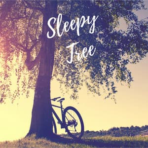Sleepy Tree - Peaceful Me