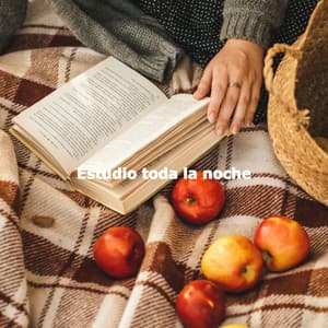 Estudio toda la noche - Música Moderna para Cafeterías