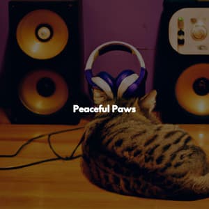Peaceful Paws - Dinner Music Play List