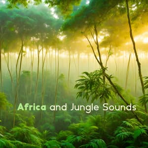 Africa and Jungle Sounds - Nature Zone