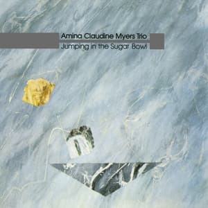 Jumping in the Sugar Bowl - Amina Claudine Myers