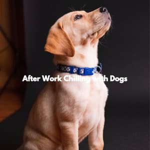 After Work Chilling with Dogs - Jazz para Oficinas