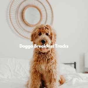 Doggo Breakfast Tracks - Dog Calming Music