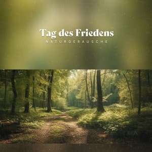 Tag des Friedens - Naturgeräusche