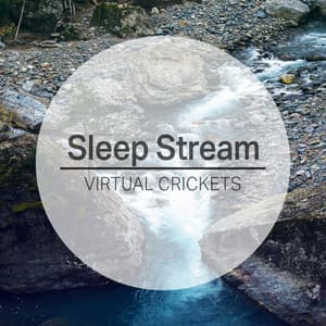 Sleep Stream - Virtual Crickets