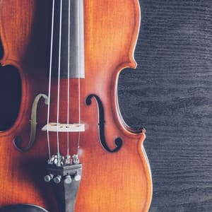 Orchestra of Night: Music for Sleep - Jose Garcia