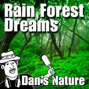 Rain Forest Dreams - Dan's Nature