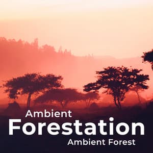 Ambient Forestation - Ambient Forest