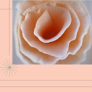 Music for Atmospheric Subjects - Happening Soprano Sax Solo - Brunch Chillout Playlist